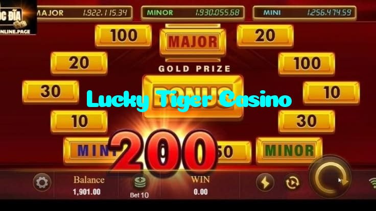 available types of Lucky Tiger Casino bet including pre-match live express and system bets